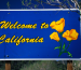 Buy CBD in California